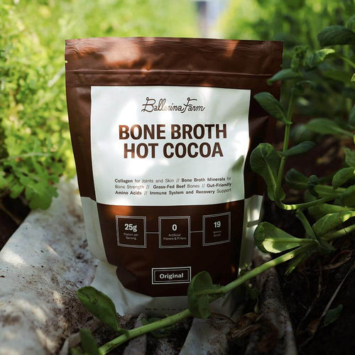 Bone Broth Hot Cocoa