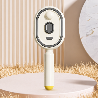 Electric Steam Brush