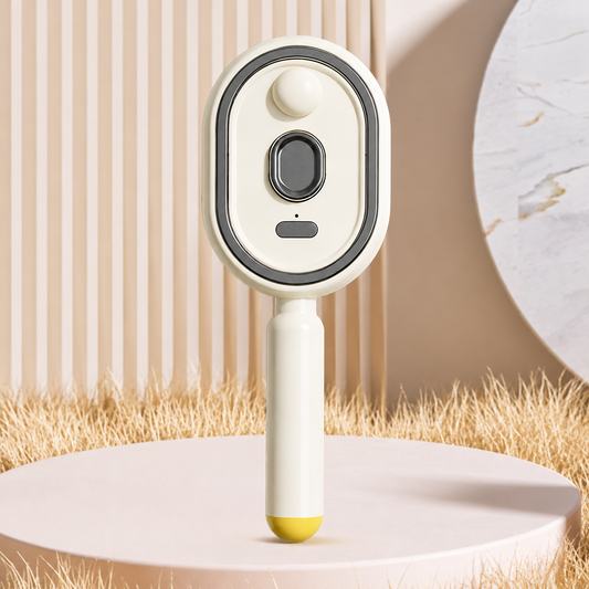 Electric Steam Brush