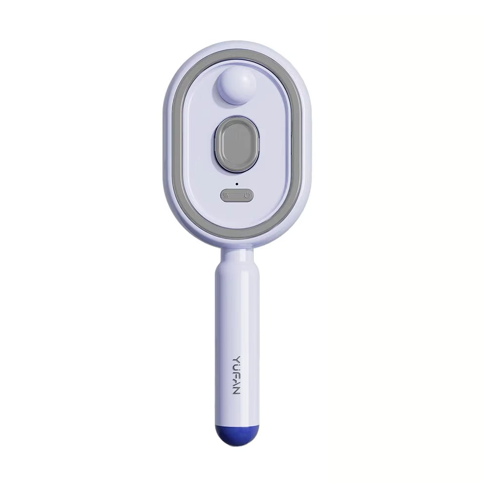Electric Steam Brush